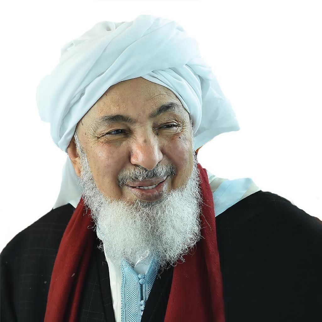 Bin Bayyah: Peace is a moral responsibility requiring genuine investment, sustainable institutional action